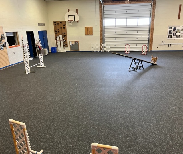 Training Hall & Paws 4 Thought